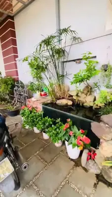 Bán nhà mặt tiền Đặng Đoàn Bằng, Ngũ Hành Sơn – 137,5 m², 3 tầng, 11,7 tỷ – ảnh 4