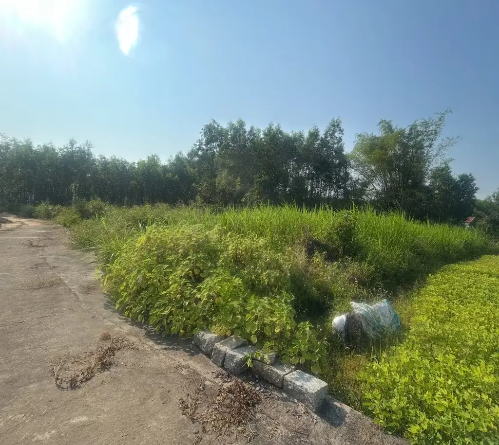 Bán đất Thôn Phước Đức, Quế Sơn Trung, Đà Nẵng, Quảng Nam (khu khác) – 771 m², 1,75 tỷ – ảnh 5
