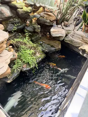 Bán nhà Phạm Nhữ Tăng, Thanh Khê – 40 m², 3 tầng, 3,8 tỷ – ảnh 11