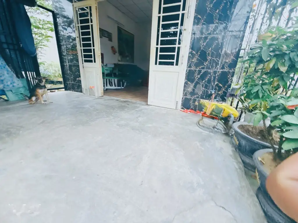 Bán nhà cấp 4 Kiệt Mai Đăng Chơn, Ngũ Hành Sơn – 104,2 m², 4,35 tỷ – ảnh 5
