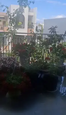 Bán nhà Thanh Lương 26, Cẩm Lệ – 118 m², 4 tầng, 10,4 tỷ