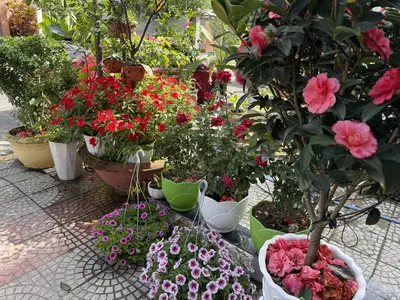 Bán nhà Thanh Lương 26, Cẩm Lệ – 118 m², 4 tầng, 10,4 tỷ – ảnh 10