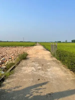 Bán đất Điện Quang, Điện Bàn – 320 m², 1,4 tỷ