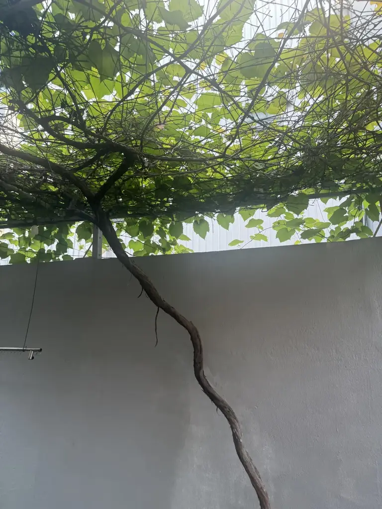 Bán nhà Kiệt Đào Tấn, Hải Châu – 319 m², 2 tầng, 22,5 tỷ – ảnh 3