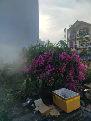 Bán nhà Chế Lan Viên, Ngũ Hành Sơn – 534 m², 1 tầng, 33,5 tỷ – ảnh 7