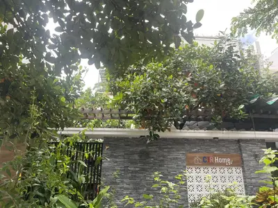 Bán đất mặt tiền Nguyễn Mỹ, Cẩm Lệ – 112,5 m², 7,45 tỷ
