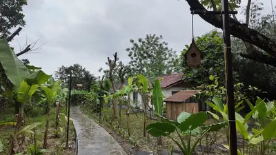 Bán đất Hòa Phú +209, Hòa Vang – 4.443 m², 23 tỷ – ảnh 11