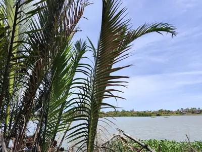 Bán nhà Nguyễn Khoa, Hội An – 429 m², 13 tầng, 13,2 tỷ