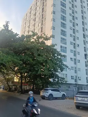 Bán nhà mặt tiền Âu cơ, Liên Chiểu – 65 m², 1 tầng, 4,35 tỷ