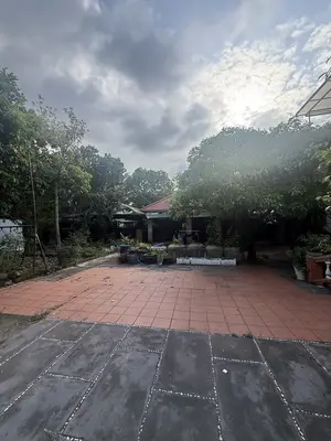 Bán đất Kiệt Trần Nhân Tông, Hội An – 1.500 m², 45 tỷ – ảnh 2