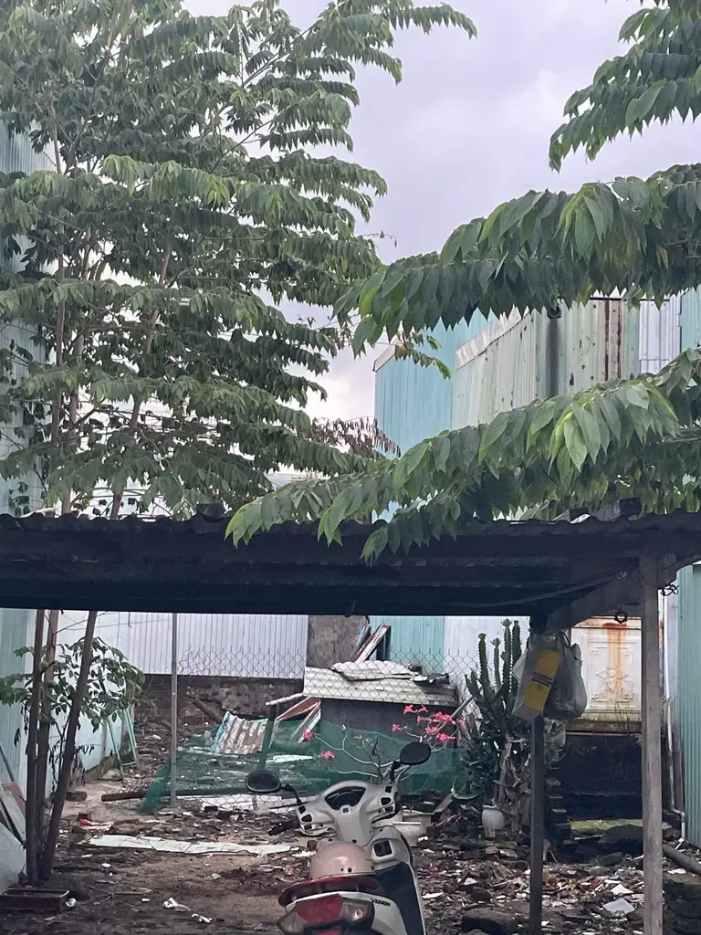 Bán đất Kiệt Đoàn Phú Tứ, Liên Chiểu – 130 m², 3,55 tỷ – ảnh 4