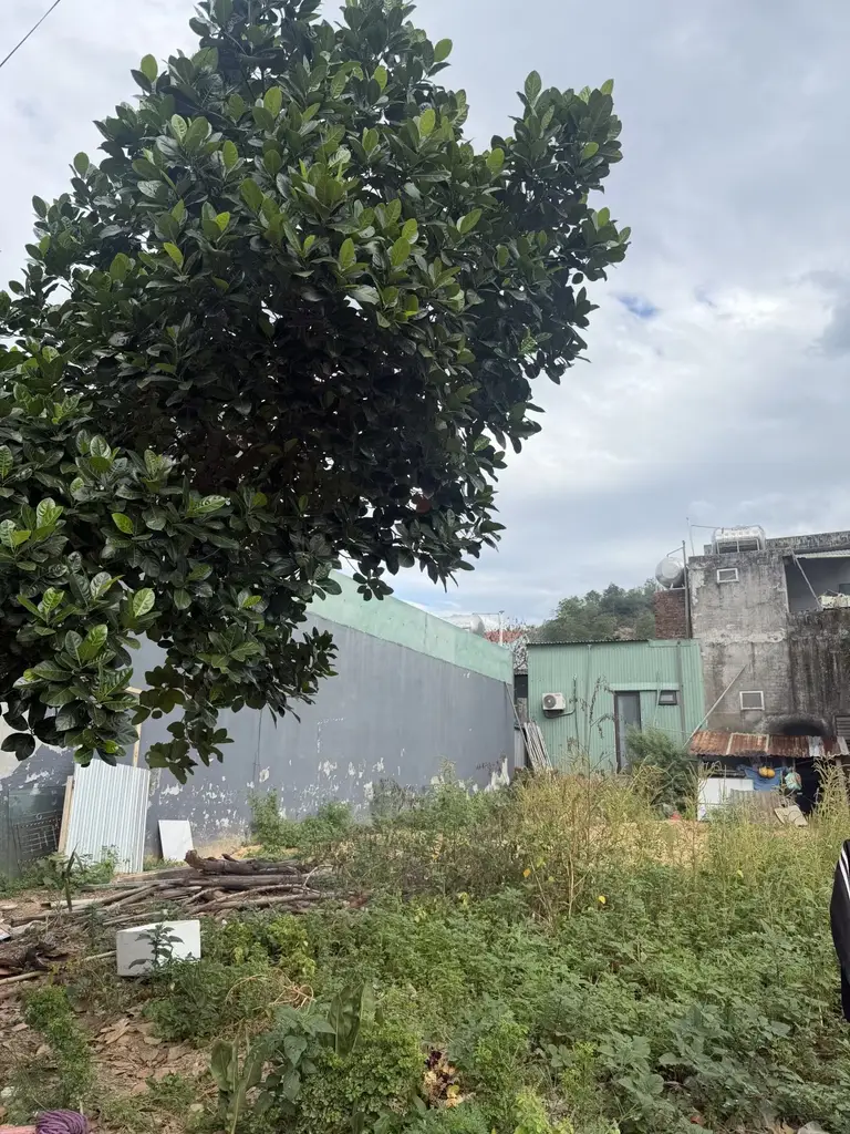Bán đất An Ngãi 9, Liên Chiểu – 204,6 m², 3,9 tỷ – ảnh 2