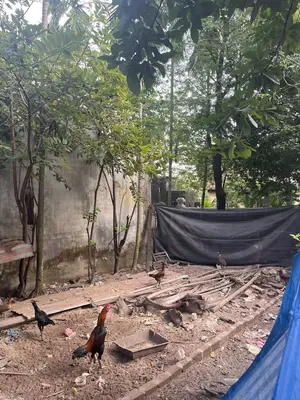 Bán đất Bàu Năng 11, Liên Chiểu – 72 m², 2,55 tỷ – ảnh 6