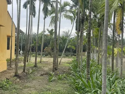 Bán đất mặt tiền Thanh Nhì DX17, Hội An – 532 m², 12,5 tỷ – ảnh 6
