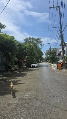 Bán nhà cấp 4 Trường Sơn, Cẩm Lệ – 180 m², 8,5 tỷ – ảnh 2