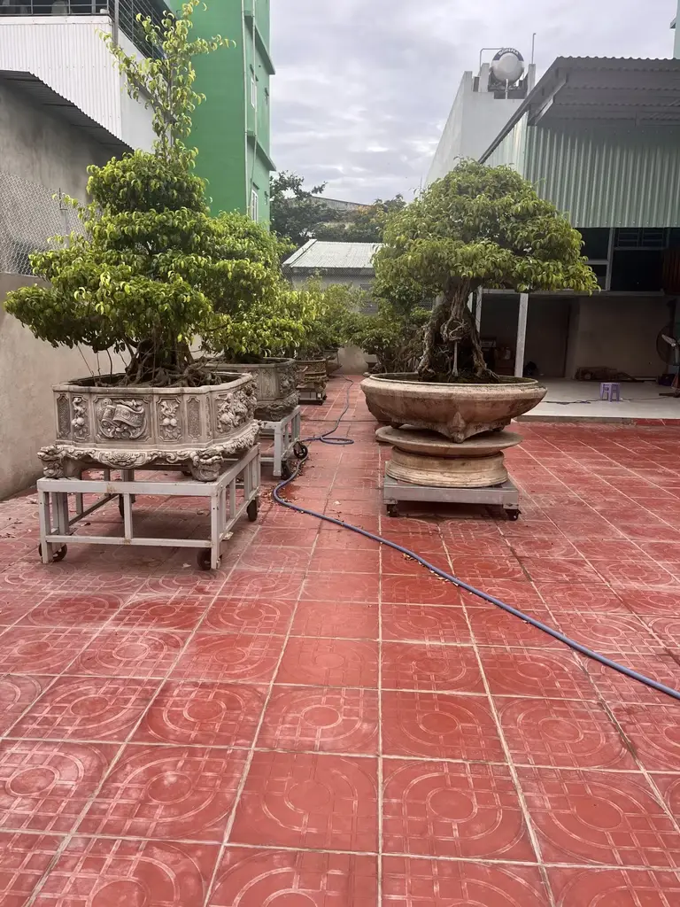 Bán đất Xuân Thiều 2, Liên Chiểu – 102 m², 8,25 tỷ – ảnh 2