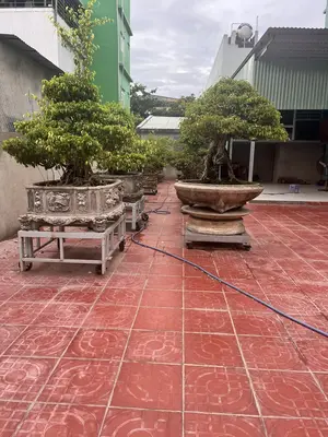 Bán đất Xuân Thiều 2, Liên Chiểu – 102 m², 8,25 tỷ – ảnh 2