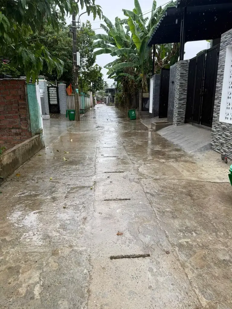 Bán đất Túy Loan Tây 1, Hòa Vang – 229 m², 1,79 tỷ – ảnh 2