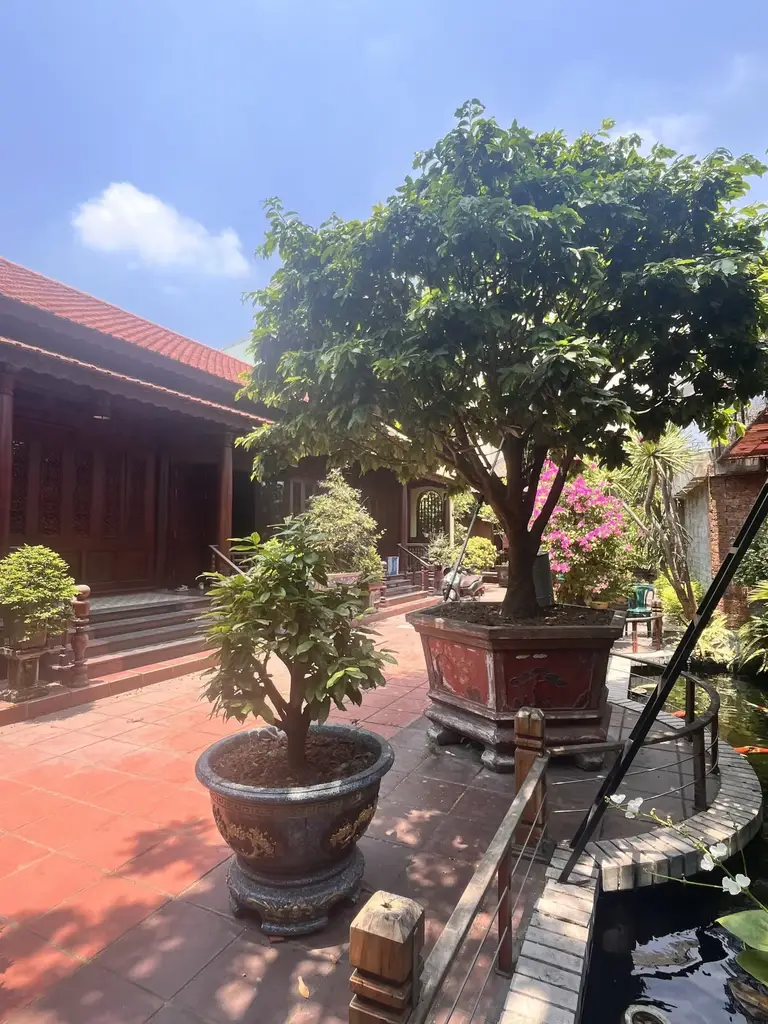 Bán nhà mặt tiền Nam Cao, Liên Chiểu – 560 m², 2 tầng, 32 tỷ – ảnh 3