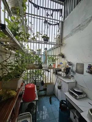 Bán nhà mặt tiền Đường 3 tháng 2, Hải Châu – 87 m², 3 tầng, 11,5 tỷ – ảnh 6