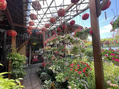 Bán nhà mặt tiền Huyền Trân Công Chúa, Hội An – 590 m², 2 tầng, 34,5 tỷ – ảnh 8