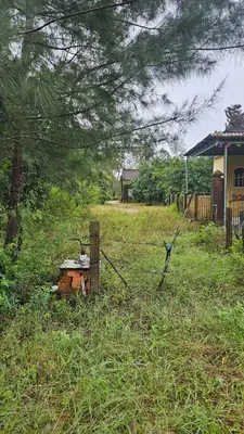 Bán nhà cấp 4 Xã Bình Dương, Quảng Nam (khu khác) – 1.350 m², 7,6 tỷ – ảnh 3
