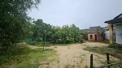 Bán nhà cấp 4 Xã Bình Dương, Quảng Nam (khu khác) – 1.350 m², 7,6 tỷ – ảnh 4