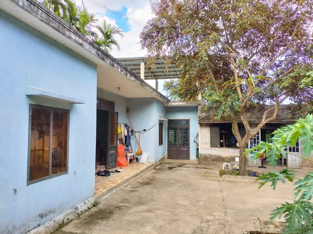 Bán nhà Trung Nghĩa, Hòa Vang – 800 m², 145 tỷ – ảnh 4