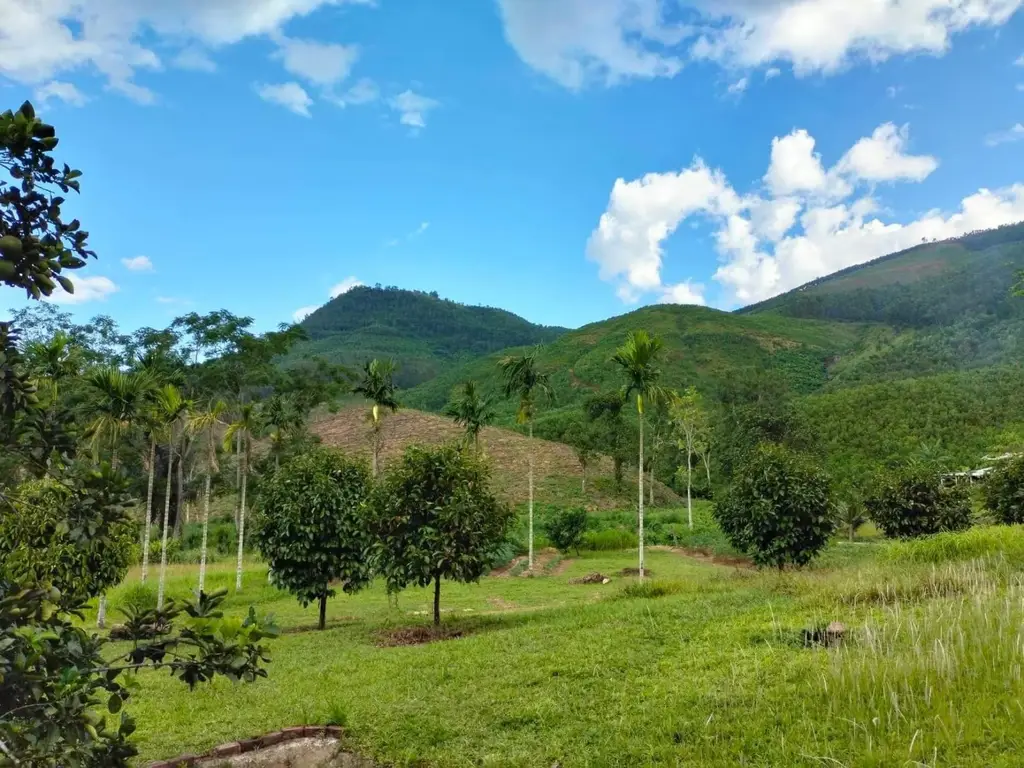 Bán nhà Trung Nghĩa, Hòa Vang – 800 m², 145 tỷ – ảnh 5
