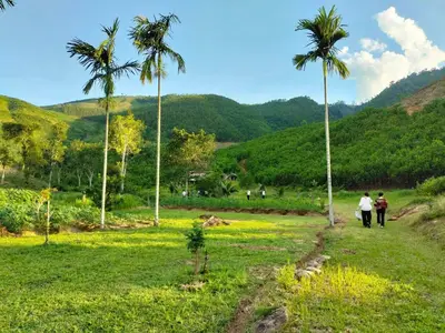 Bán nhà Trung Nghĩa, Hòa Vang – 800 m², 145 tỷ – ảnh 6