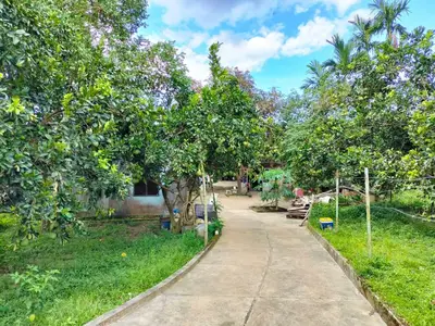 Bán nhà Trung Nghĩa, Hòa Vang – 800 m², 145 tỷ – ảnh 9