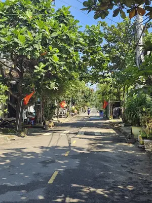 Bán đất mặt tiền Đào Công Soạn, Liên Chiểu – 73,5 m², 5 tỷ – ảnh 2