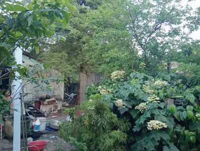 Bán đất Kiệt Nguyễn Văn Cừ, Liên Chiểu – 2.075 m², 15,9 tỷ