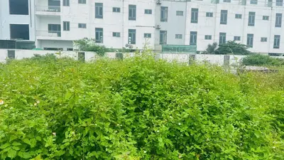 Bán đất mặt tiền Võ Tự, Liên Chiểu – 125,2 m², 4,95 tỷ – ảnh 3