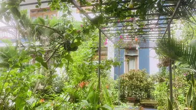 Bán nhà Trà Quế, Hội An – 924 m², 3 tầng, 36,5 tỷ – ảnh 9