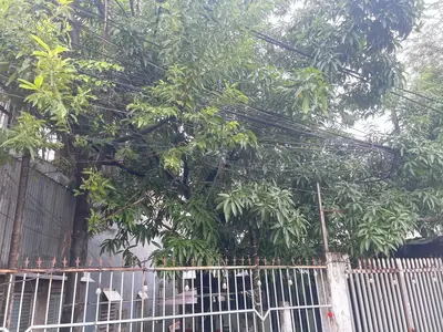 Bán đất Kiệt Bầu Trảng 7, Thanh Khê – 200 m², 10,2 tỷ – ảnh 8