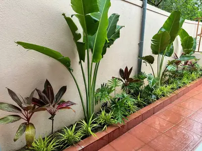 Bán nhà Hòa Thọ Đông, Cẩm Lệ – 171,5 m², 2 tầng, 6,2 tỷ – ảnh 7