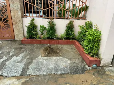 Bán nhà Hòa Thọ Đông, Cẩm Lệ – 171,5 m², 2 tầng, 6,2 tỷ – ảnh 10