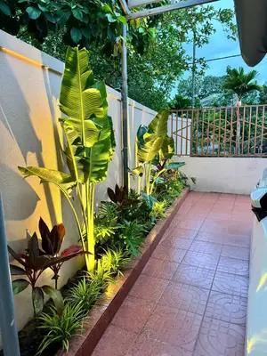 Bán nhà Hòa Thọ Đông, Cẩm Lệ – 171,5 m², 2 tầng, 6,2 tỷ – ảnh 12