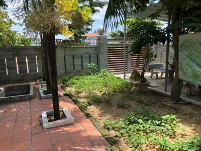 Bán nhà cấp 4 mặt tiền Phan Tòng, Ngũ Hành Sơn – 380 m², 47 tỷ – ảnh 2