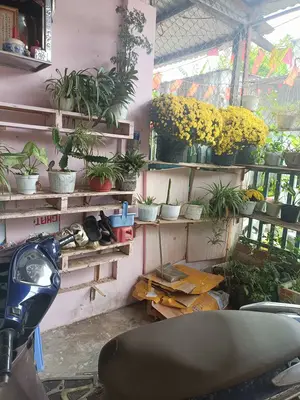 Bán nhà cấp 4 Kiệt Phạm Như Xương, Liên Chiểu – 114 m², 2,95 tỷ – ảnh 4