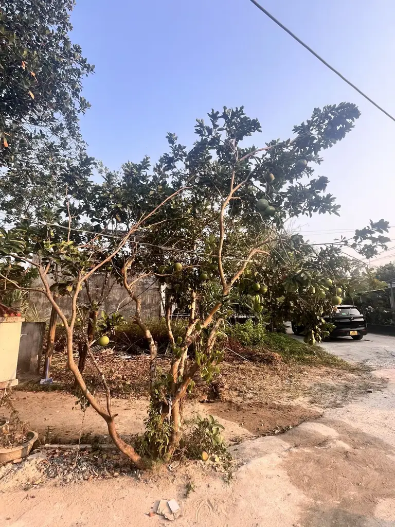 Bán đất Thôn Giáng Đông Phường Hòa Xuân, Cẩm Lệ – 156 m², 1,85 tỷ – ảnh 2