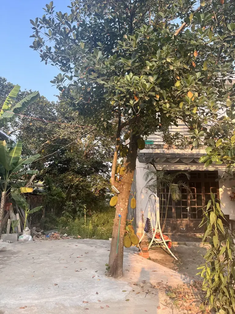 Bán đất Thôn Giáng Đông Phường Hòa Xuân, Cẩm Lệ – 156 m², 1,85 tỷ – ảnh 4