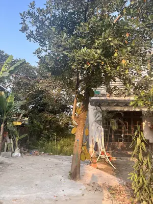 Bán đất Thôn Giáng Đông Phường Hòa Xuân, Cẩm Lệ – 156 m², 1,85 tỷ – ảnh 4