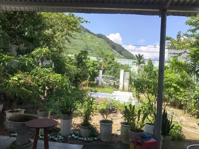 Bán nhà cấp 4 Tà Lang- Hòa Bắc, Hòa Vang – 300 m², 2,4 tỷ – ảnh 6