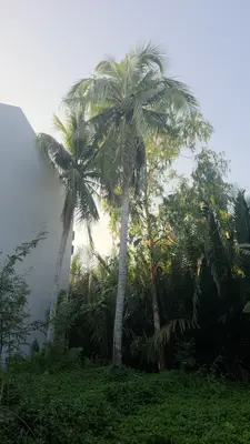 Bán đất Hẻm Trần Nhân Tông, Hội An – 190,3 m², 6,3 tỷ