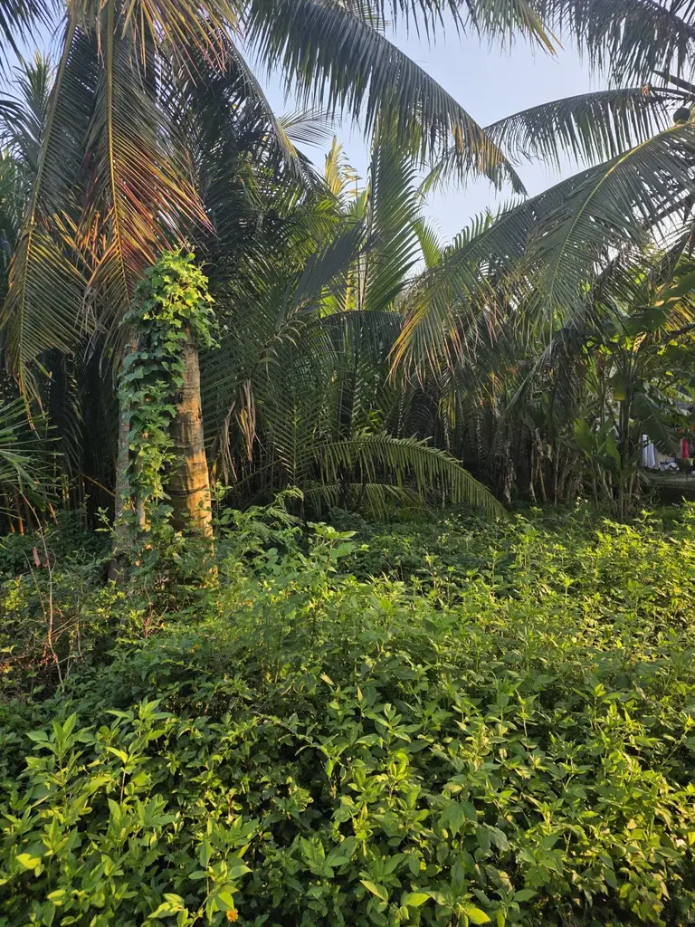 Bán đất Hẻm Trần Nhân Tông, Hội An – 190,3 m², 6,3 tỷ – ảnh 2