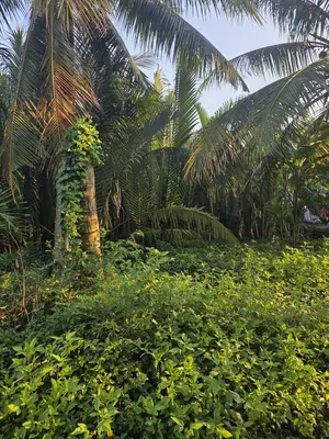 Bán đất Hẻm Trần Nhân Tông, Hội An – 190,3 m², 6,3 tỷ – ảnh 2