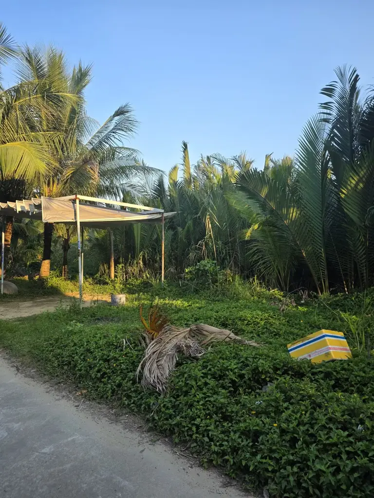 Bán đất Hẻm Trần Nhân Tông, Hội An – 190,3 m², 6,3 tỷ – ảnh 3