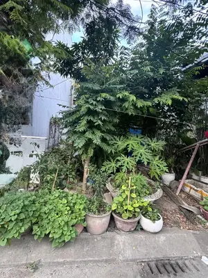 Bán đất Mân Quang 1, Sơn Trà – 75,1 m², 5,95 tỷ
